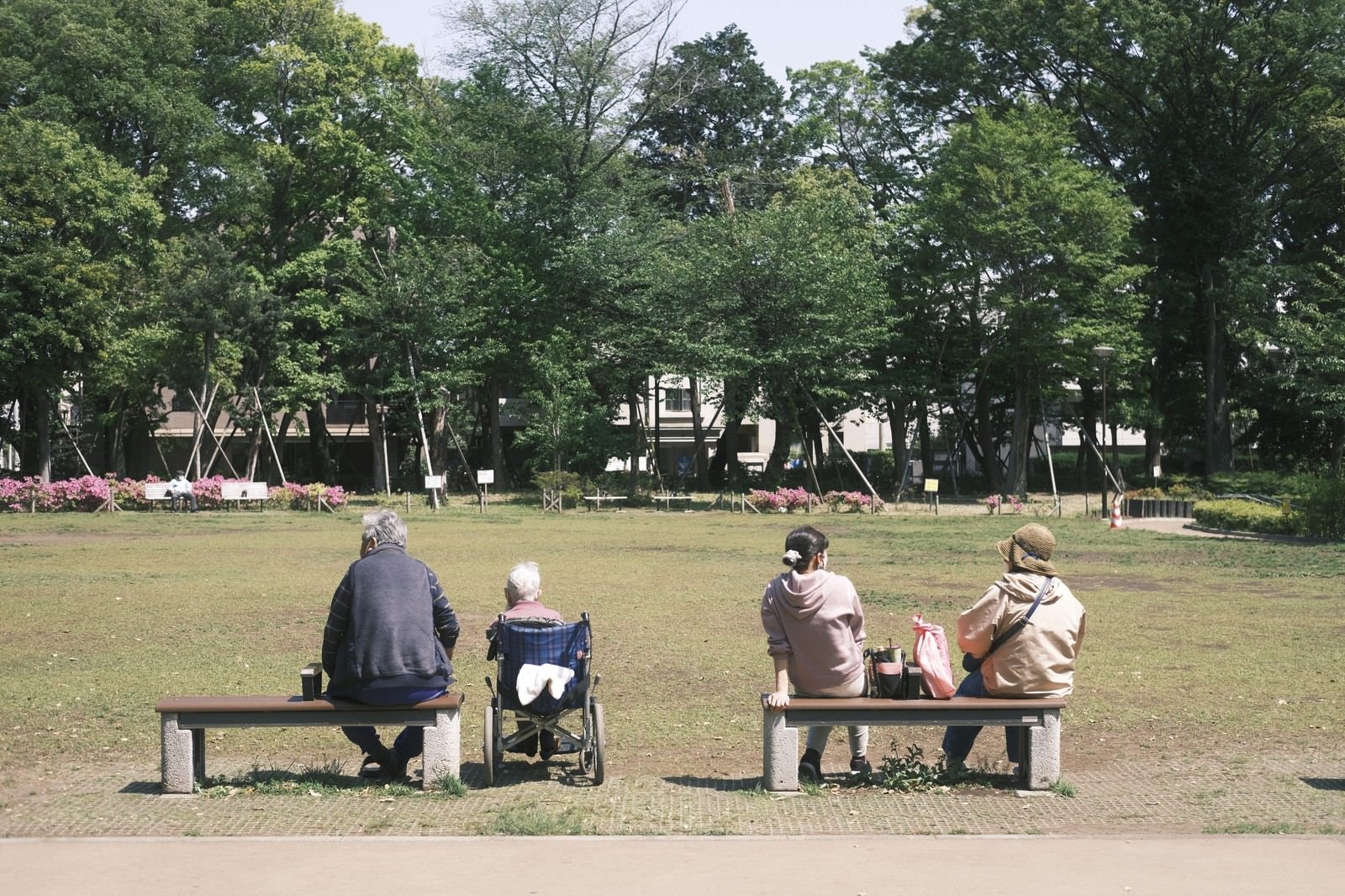 「公園で新緑をめでる人々」の写真