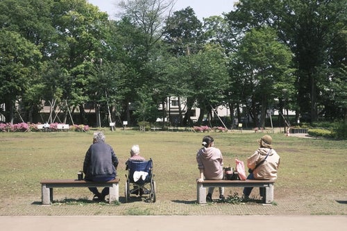 公園で新緑をめでる人々の写真