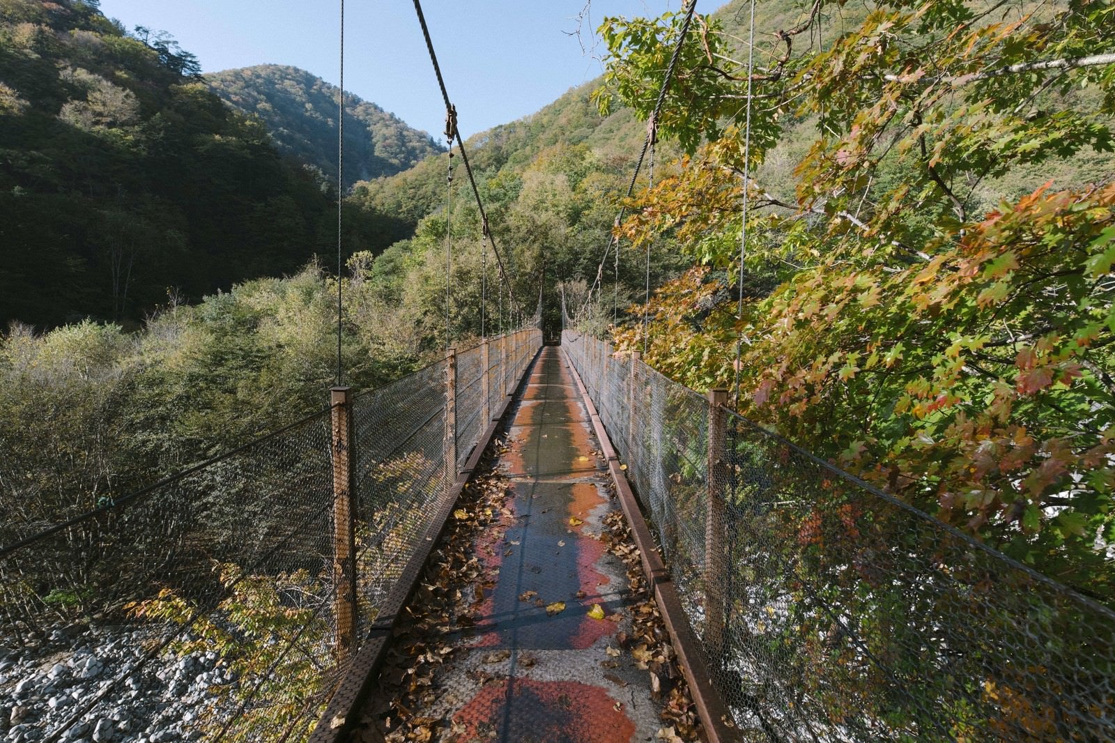 「紅葉の西沢渓谷の吊橋」の写真