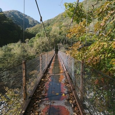紅葉の西沢渓谷の吊橋の写真