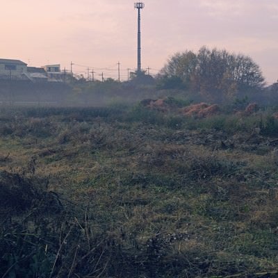 朝靄の向こうの鉄塔の写真