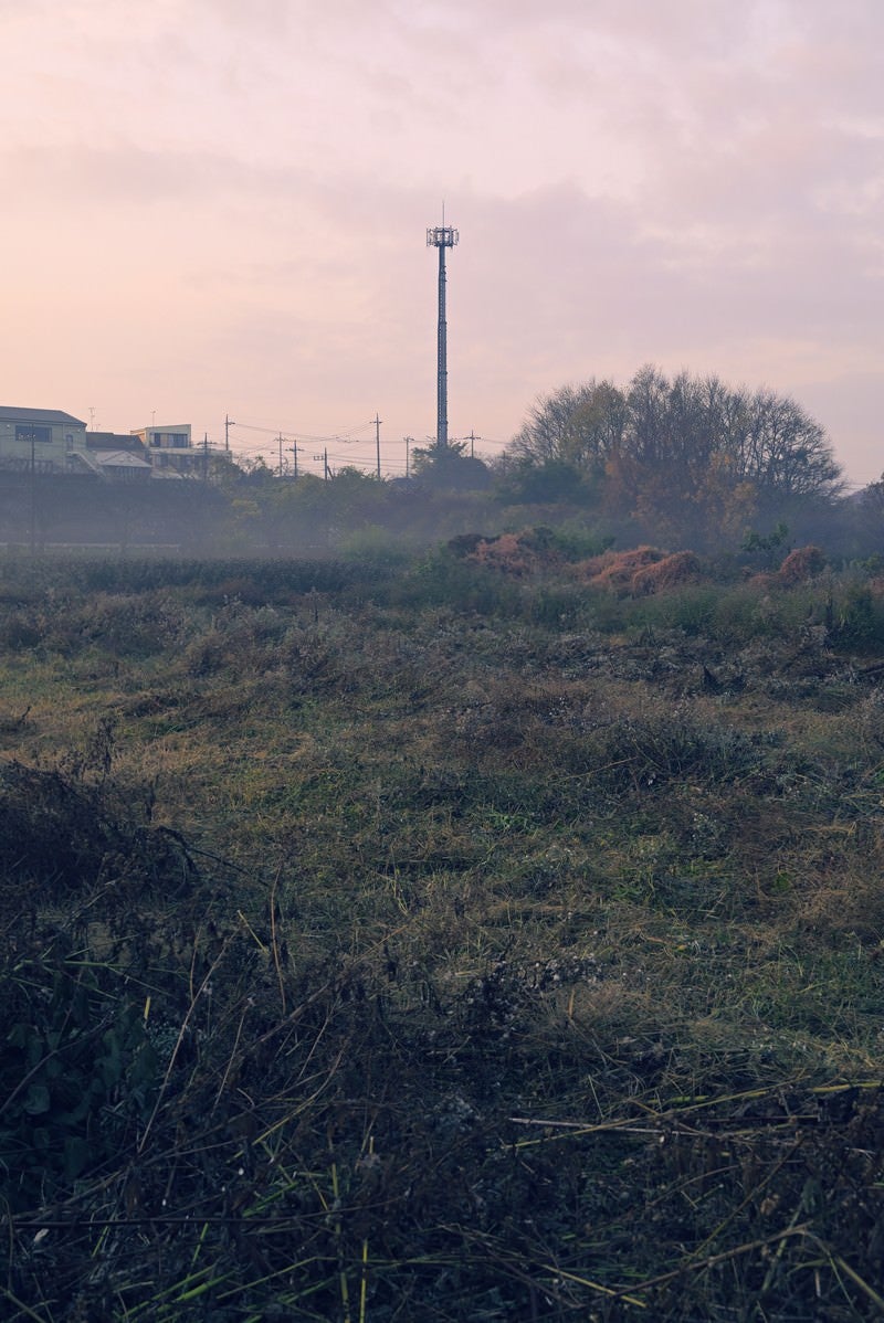 「朝靄の向こうの鉄塔」の写真