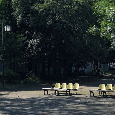 誰もいない寂しい昼の公園のベンチの写真