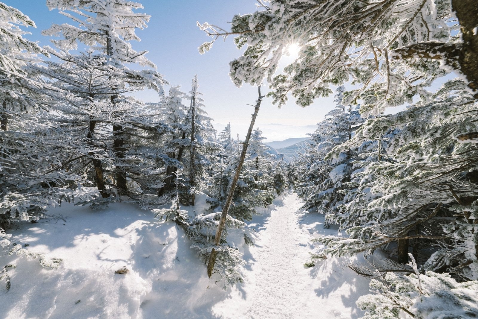 「雪に包まれた登山道」の写真