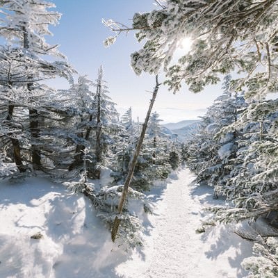雪に包まれた登山道の写真