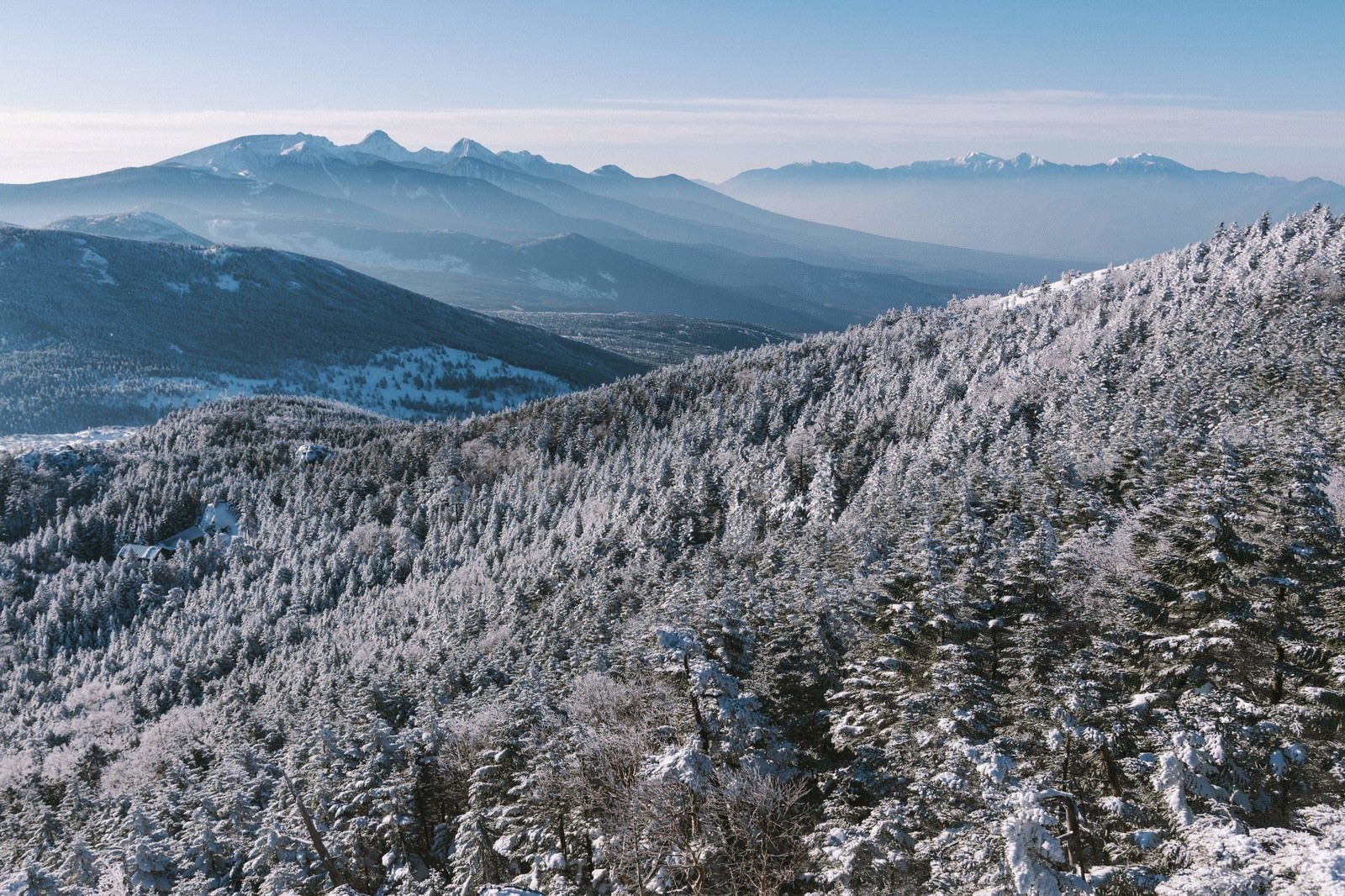 「雪を纏った木々に覆われた北横岳」の写真