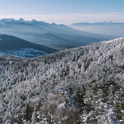 雪を纏った木々に覆われた北横岳の写真