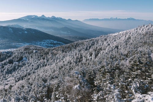 雪を纏った木々に覆われた北横岳の写真