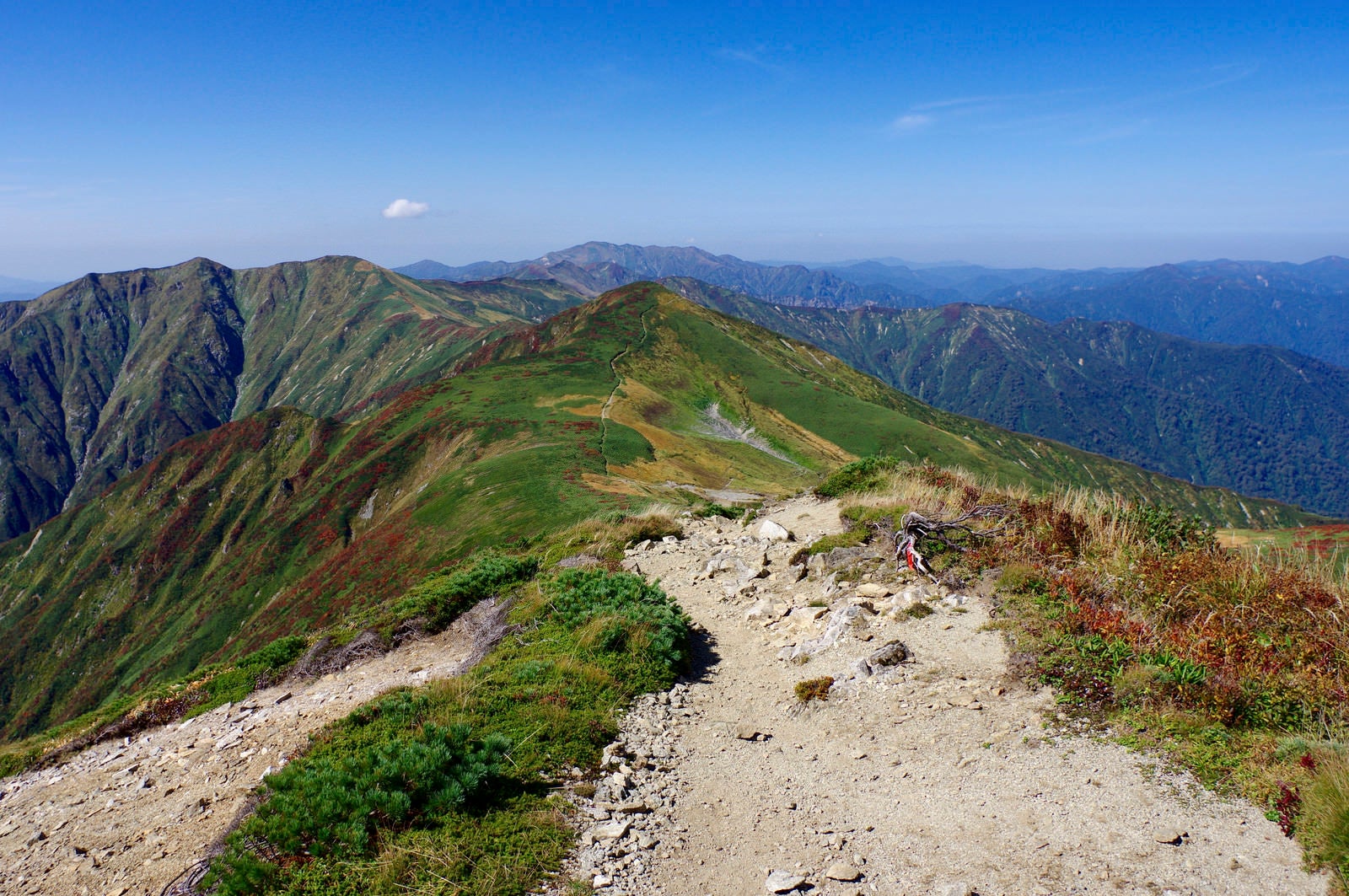 「大朝日岳山頂付近の登山道」の写真