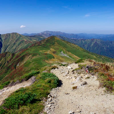 大朝日岳山頂付近の登山道の写真