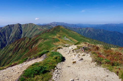 大朝日岳山頂付近の登山道の写真