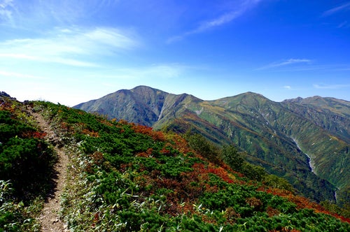 小朝日岳から大朝日岳へと向かう稜線の道の写真