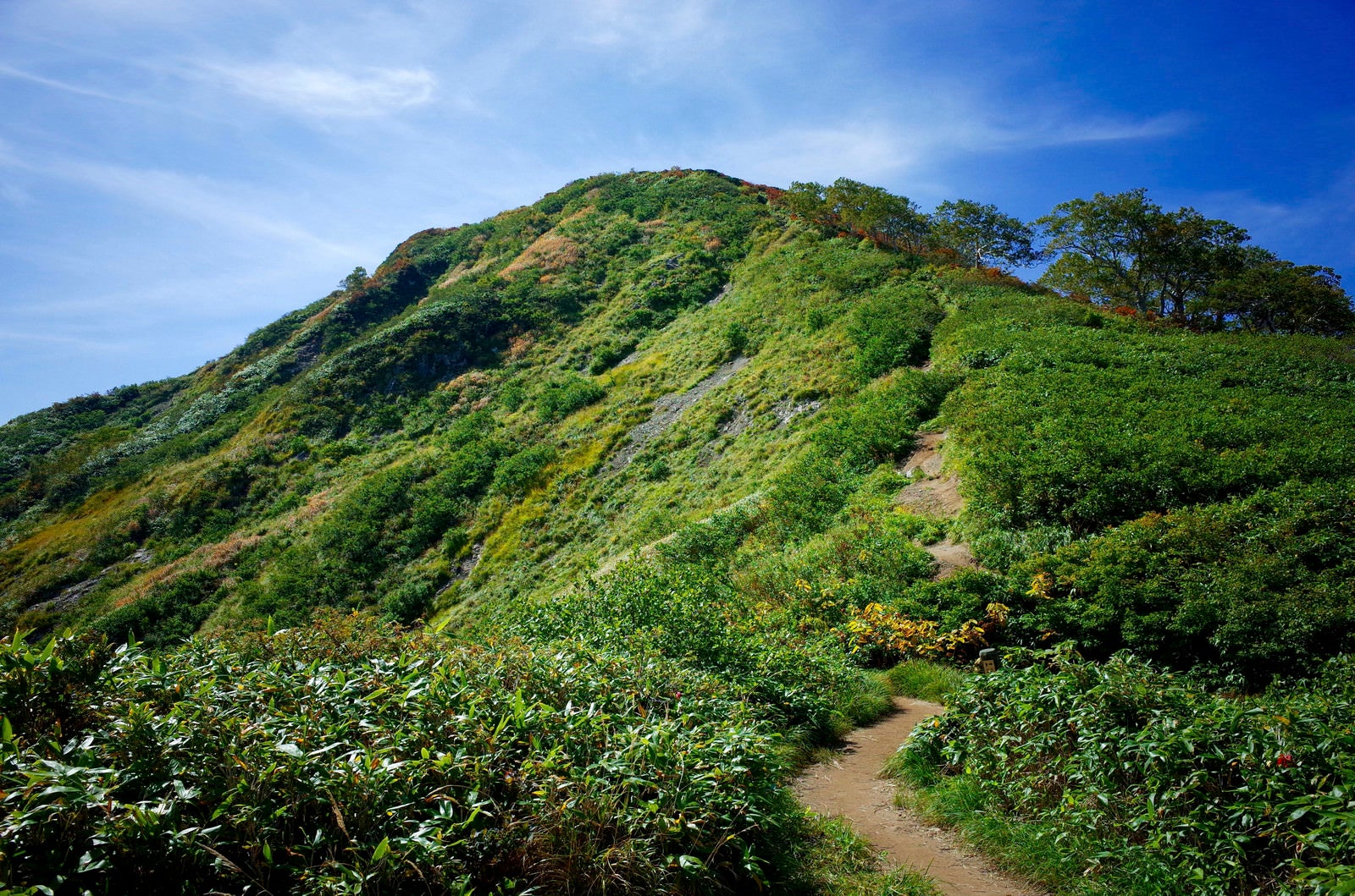 「小朝日岳山頂への道（大朝日岳）」の写真