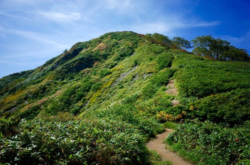 小朝日岳山頂への道（大朝日岳）の写真