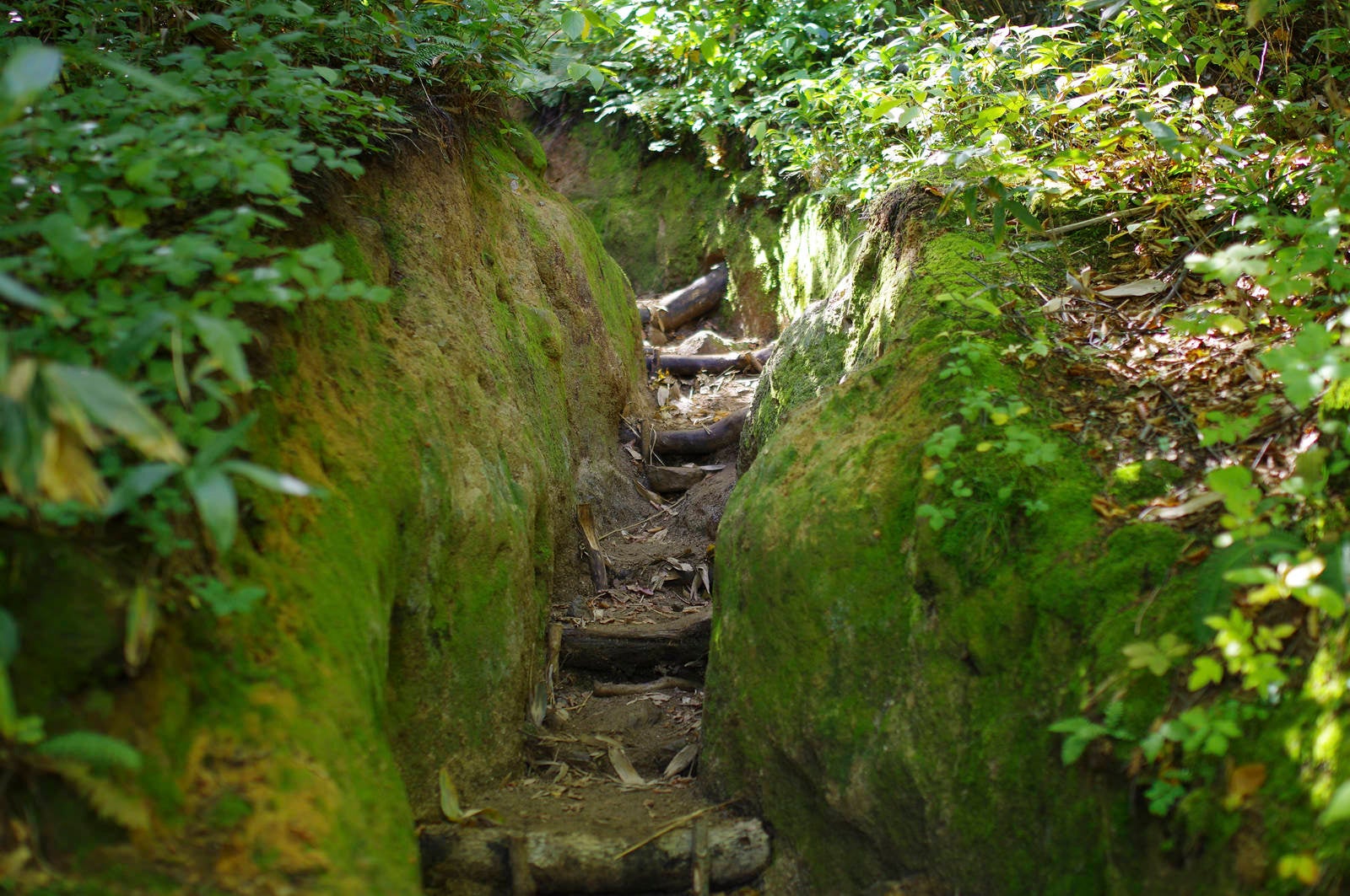 「岩を切り開いて作られた古寺鉱泉ルート（大朝日岳）」の写真