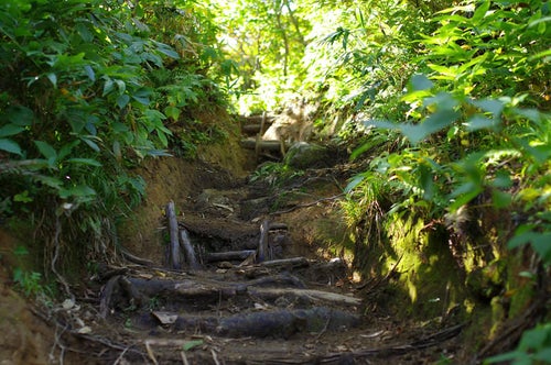 木道が整備された古寺山登山道（大朝日岳）の写真