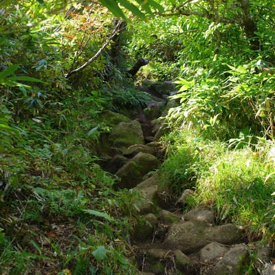石が敷き詰められた古寺山登山道（大朝日岳）の写真