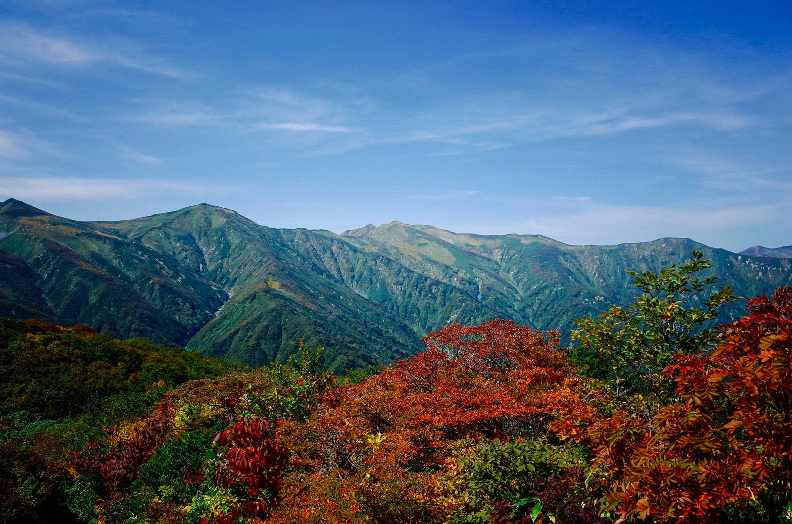「紅葉の朝日連峰（大朝日岳）」の写真
