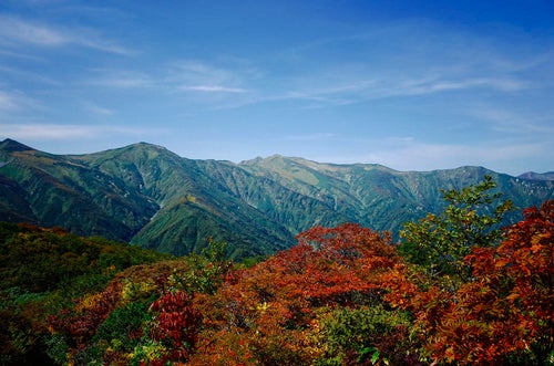 紅葉の朝日連峰（大朝日岳）の写真