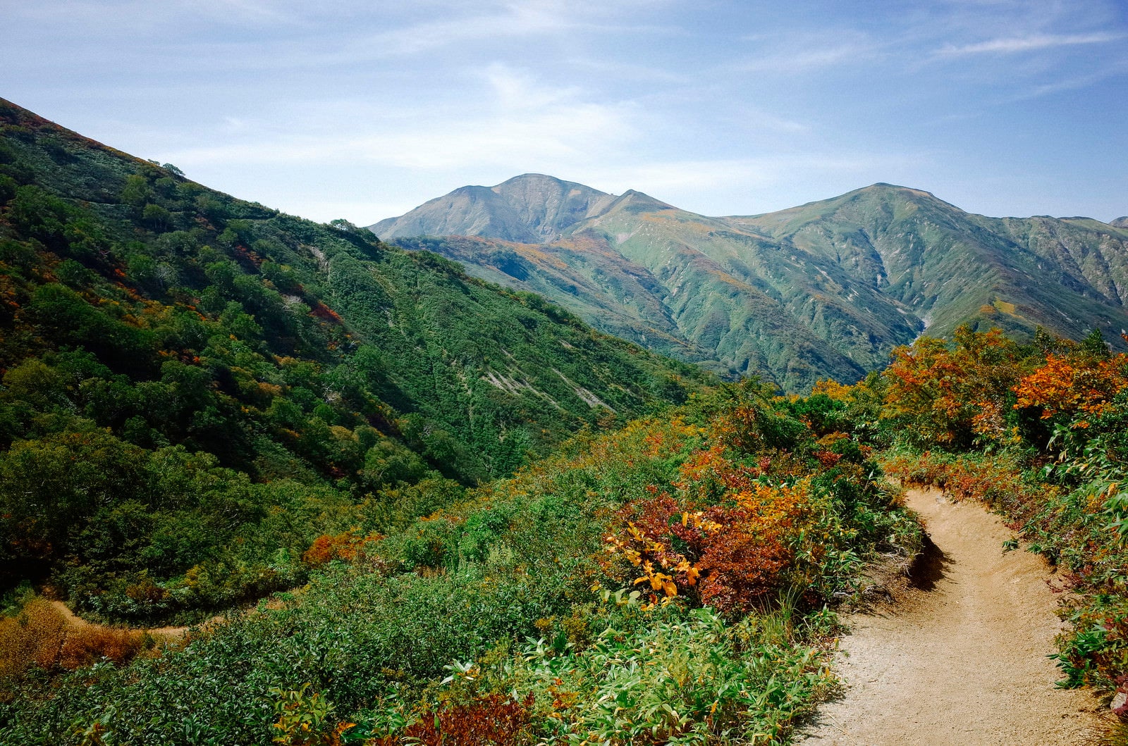 「開けた道の大朝日岳登山道」の写真
