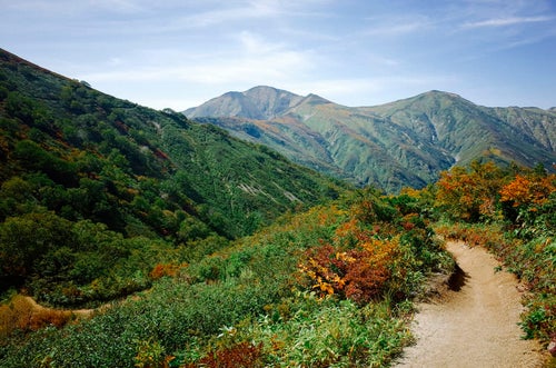 開けた道の大朝日岳登山道の写真