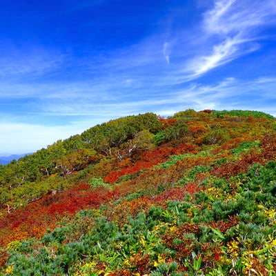 青空と紅葉の登山道（大朝日岳）の写真