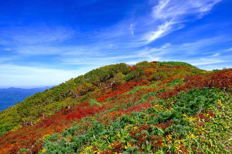 青空と紅葉の登山道（大朝日岳）の写真
