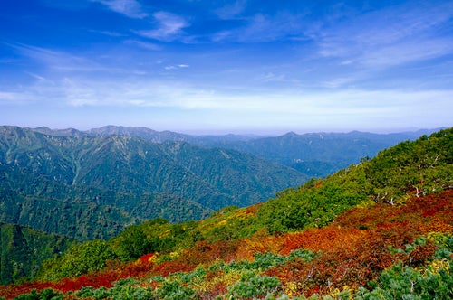 黄葉の山肌と朝日連峰の山々（大朝日岳）の写真