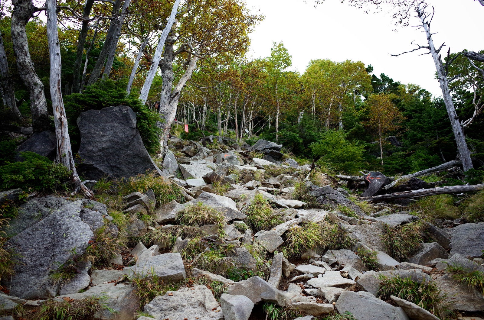 「ゴツゴツした岩場を登る男体山の登山道」の写真