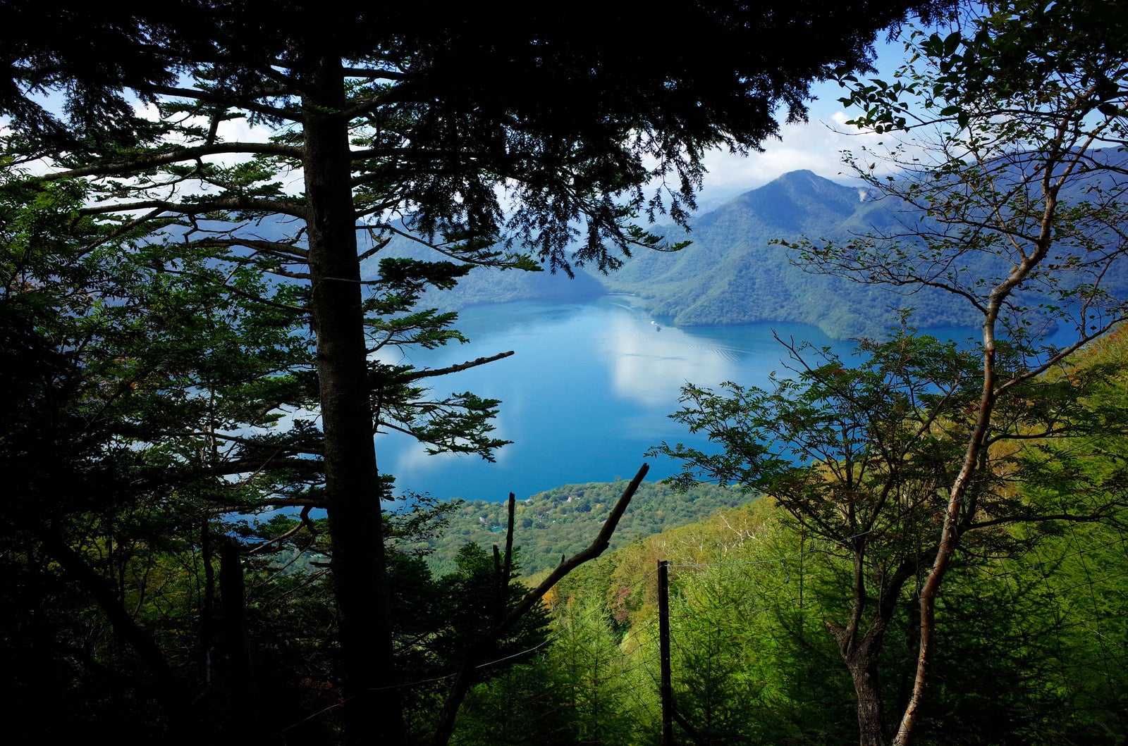 「男体山登山道から見下ろす中禅寺湖（ちゅうぜんじこ）」の写真