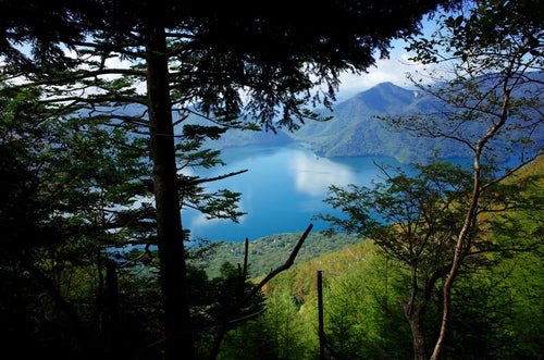 男体山登山道から見下ろす中禅寺湖（ちゅうぜんじこ）の写真