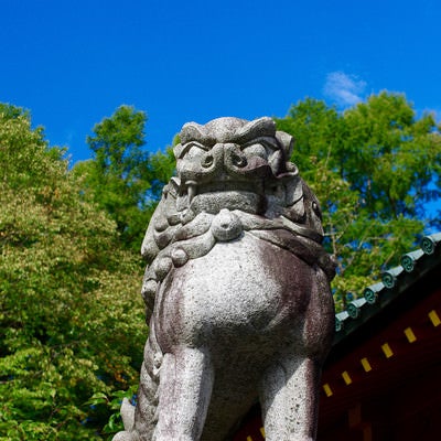 二荒山神社の狛犬（男体山）の写真