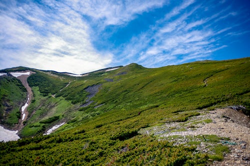 ハイマツ帯が広がる登山道（常念岳）の写真