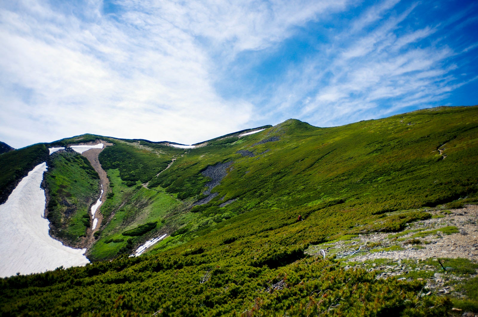 「ハイマツ帯が広がる表銀座登山道（常念岳）」の写真