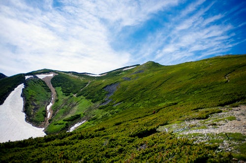 ハイマツ帯が広がる表銀座登山道（常念岳）の写真