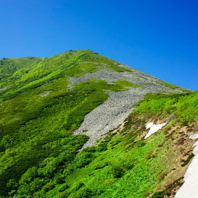 森林限界を越えた常念岳の稜線の写真
