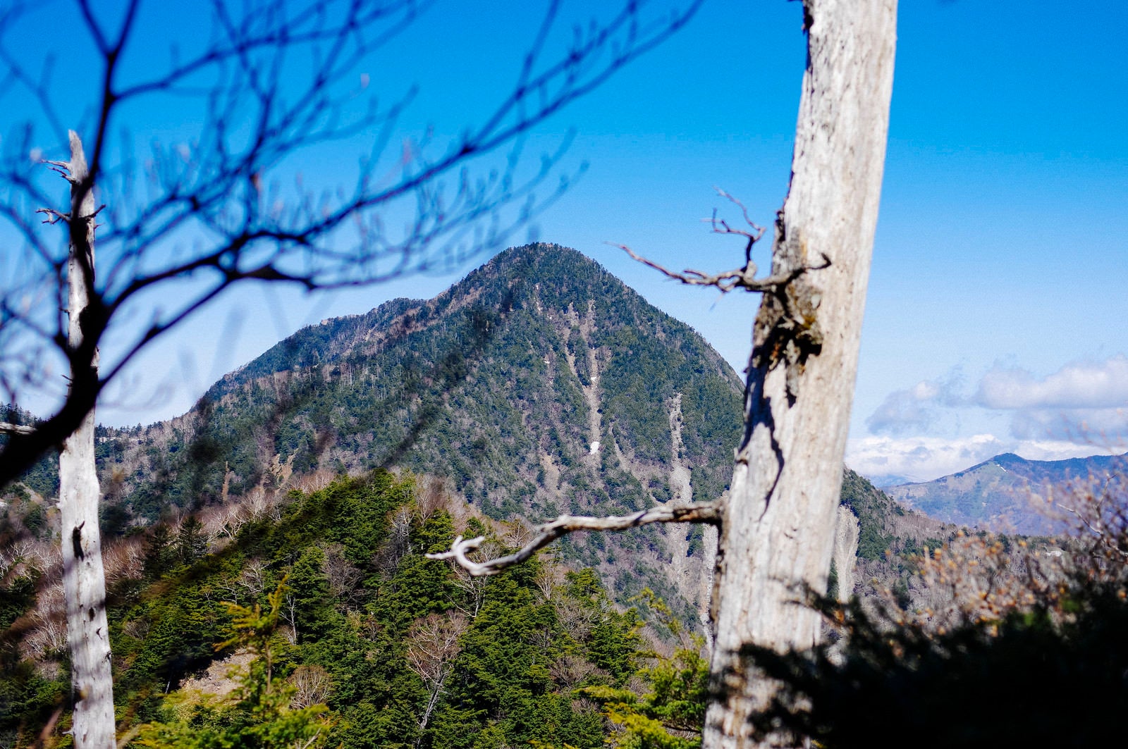「庚申山の登山道から見る皇海山（すかいさん）」の写真