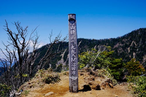 皇海山手前の鋸山の山頂碑の写真