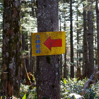 皇海山登山者を絶望の淵に追いやる六林班峠の案内板の写真