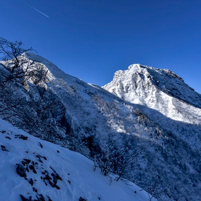 冬の文三郎尾根下部から見上げる阿弥陀岳の写真