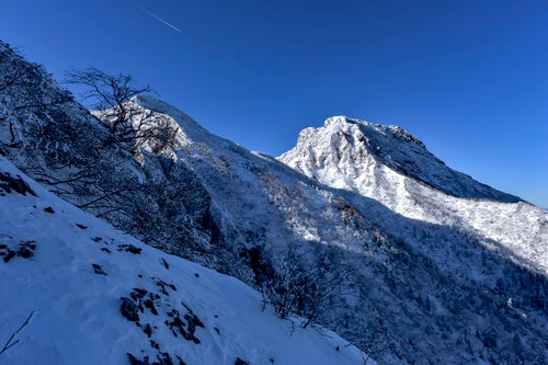 冬の文三郎尾根下部から見上げる阿弥陀岳の写真