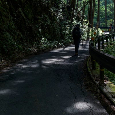 川苔山へ向かう林道を歩く登山者の写真