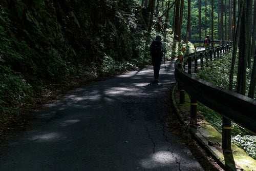 川苔山へ向かう林道を歩く登山者の写真
