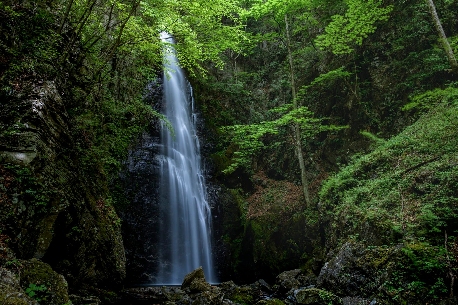 「川苔山中腹にある百尋の滝」の写真