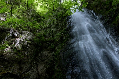 百尋の滝と新緑の写真