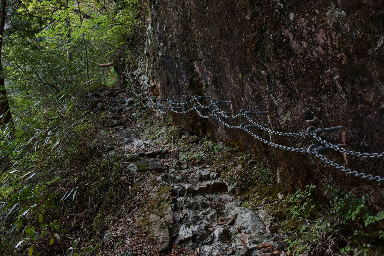 「岩壁を登る鎖の手すり（大杉谷）」の写真