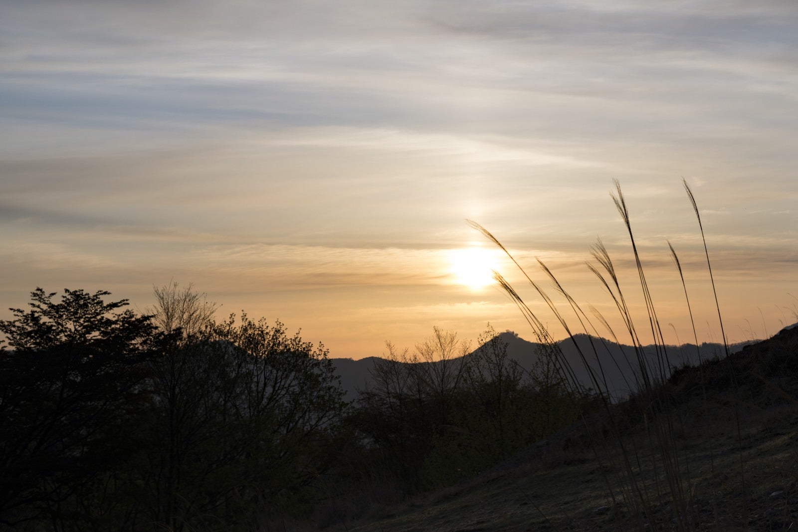 「大峰奥駈道から見る朝日」の写真