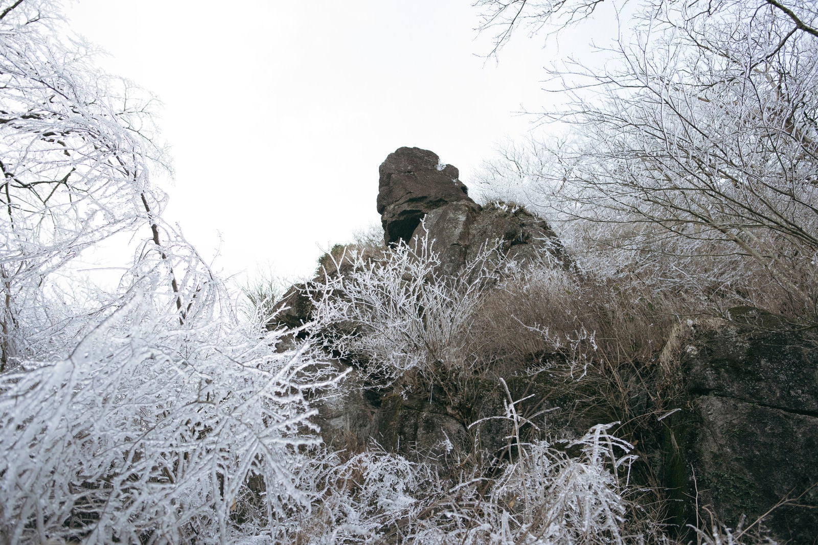 「凍った木々と立ちはだかる岩（筑波山）」の写真