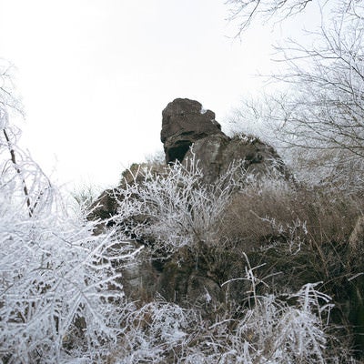 凍った木々と立ちはだかる岩（筑波山）の写真