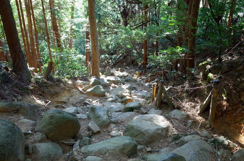木漏れ日差す筑波山の登山道の写真